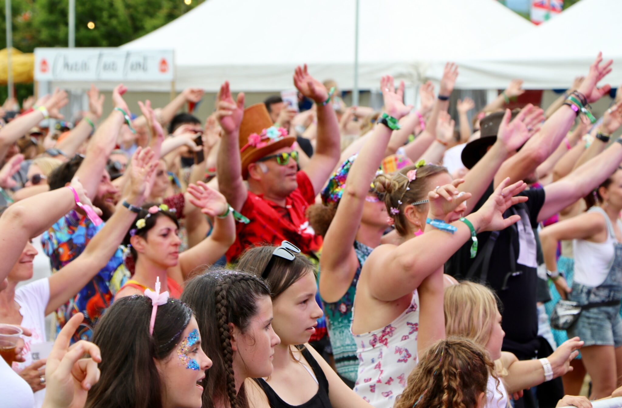 Home Farm Fest, School in a Bag, Event App